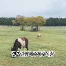 경하목장 네이버블로그