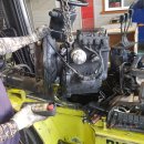 제일밋숀 이미지