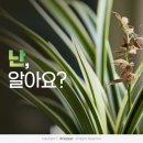 승진푸드