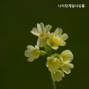 행복너싱홈(조치원노인전문병원) | 거동 힘드신 부모님 위한 동작구 요양원 추천 나이팅게일너싱홈 전문가의 따뜻한 돌봄