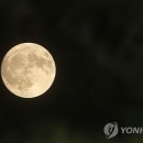 꼼꼼이기획