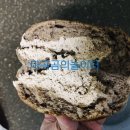 지에스25 등촌월드점 네이버블로그
