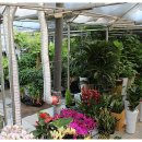 중앙플라워(생화) 이미지