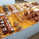 더마레 104 이미지