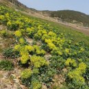 저동농장 이미지