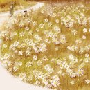 트럼펫연주 이미지