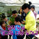 일출 난 농원 Daum카페