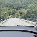 강변의 숲속 이미지