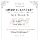 솔베르크 이미지