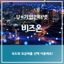 비즈온네트웍스
