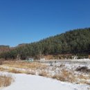 자운1리 마을회관 이미지