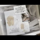 계피랑마요랑 이미지