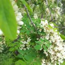 팔용산 등산로 입구 이미지