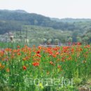 (주)천지항공여행사 이미지
