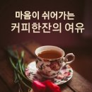 햇살을 찻잔에 담아 이미지