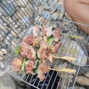 델리퀸충주점 | * 충주 캠핑음식 * 내돈내산 교현동 델리퀸 파닭꼬치 구매후기