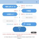 시험관 신선 1차 성공 후기 (1) 이식부터 임신확인까지 (수지마리아 신소현선생님)