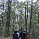 형제농원
