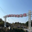제주도 카트, 제주도 액티비티 제주레포츠랜드 솔직후기