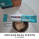 고운정약국 | 고양이 유산균 편리한 가루형 소포장 페노비스 급여 후기