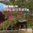 김인섭 단계문집 목판 | 경남 나들이 창녕 배롱나무 명소 광산서당