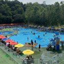 골드펫리조트 파이낸셜뉴스