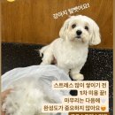 멈무살롱 이미지