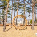 신성동 수천이들 근린공원 이미지