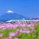 자연파크여관 이미지