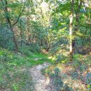 영인면사무소 이미지