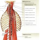 든든한의원 이미지