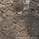 해미자동차정비공업사 이미지