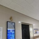 B.K디센트 B동 | 마곡속눈썹펌 오르브로우 L컬 시술후기! | 마곡역속눈썹펌 잘하는곳 찾았다…!
