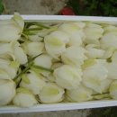 백년지기 이미지