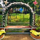 수인선 바람길 숲 이미지