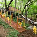 노원골유아숲 이미지