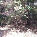 강남여주부동산공인중개사사무소 이미지