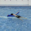🏊‍♂️신나는 원더pool노리(수영)🏊‍♂️ 이미지