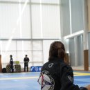 주짓수 복싱 이미지