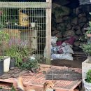 제주도 단체가족펜션 그날제주 | 🏡 제주도 단체가족펜션 ‘그날제주’ 후기 | 가정집처럼 따뜻한 분위기의 바다뷰 숙소 🌿