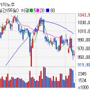 (주)마제스타 마제스타카지노 이미지