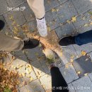 임광개발주 | [임장후기] 노원역&마들역 인근 주공아파트와 중계동학원가