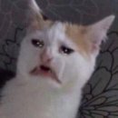 맛짱튀김 이미지