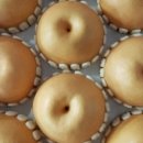 지오농장 이미지