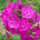 춘천호반체육관 이미지