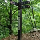 115차 명산산행(블랙야크 100대명산 대구 팔공산) 6월 27일 이미지