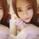 써니도그 이미지