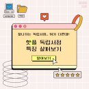 마포-현장-마포-1568 | 잘나가는 독립서점, 뭐가 다른데? 핫플 독립서점 특징 살펴보기