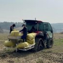 안정왕겨 이미지