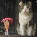 걸리버 이미지